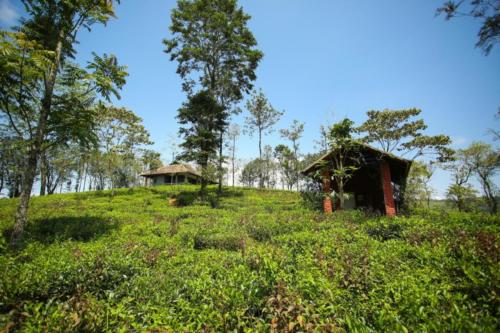 Abode Resort Vagamon medium (10)