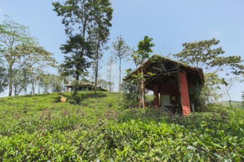 Abode Resort Vagamon medium (11)