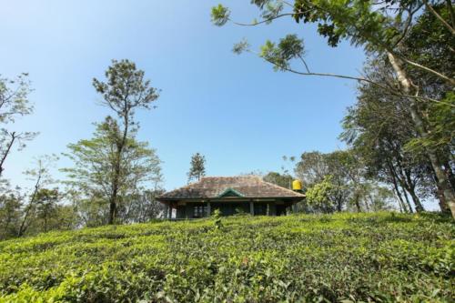Abode Resort Vagamon medium (19)