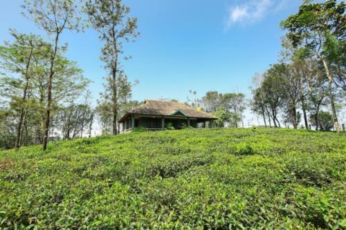 Abode Resort Vagamon medium (5)