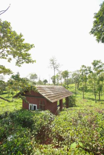 Abode Resort Vagamon medium (6)