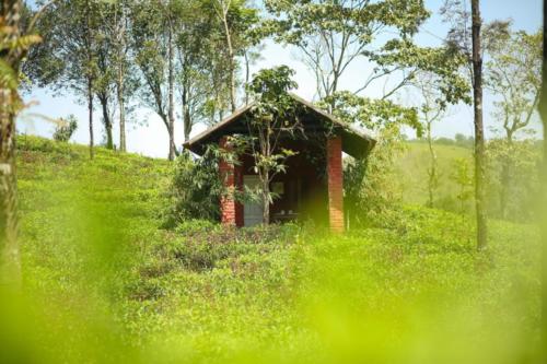 Abode Resort Vagamon medium (7)