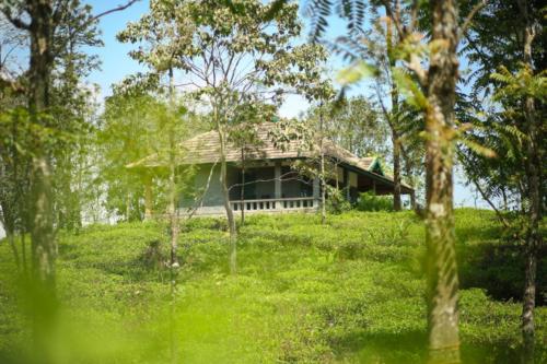 Abode Resort Vagamon medium (8)