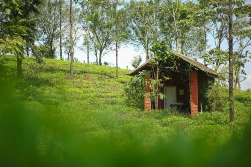 Abode Resort Vagamon medium (9)